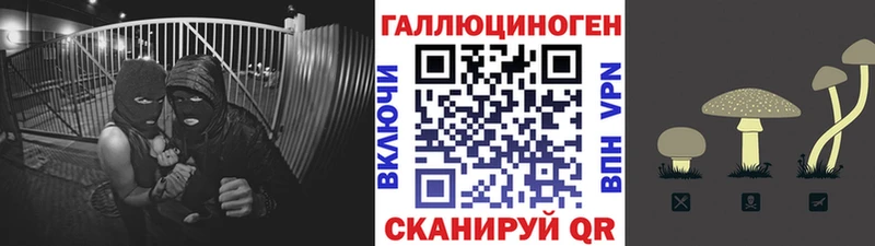 Псилоцибиновые грибы Cubensis  Ялта 